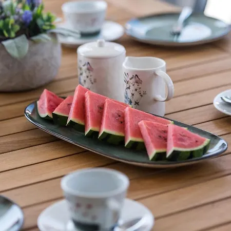 With Pool, Luxuriously Furnished, Quiet Area - By Traveler Tourist Agency Krk Id2389 Βίλα *